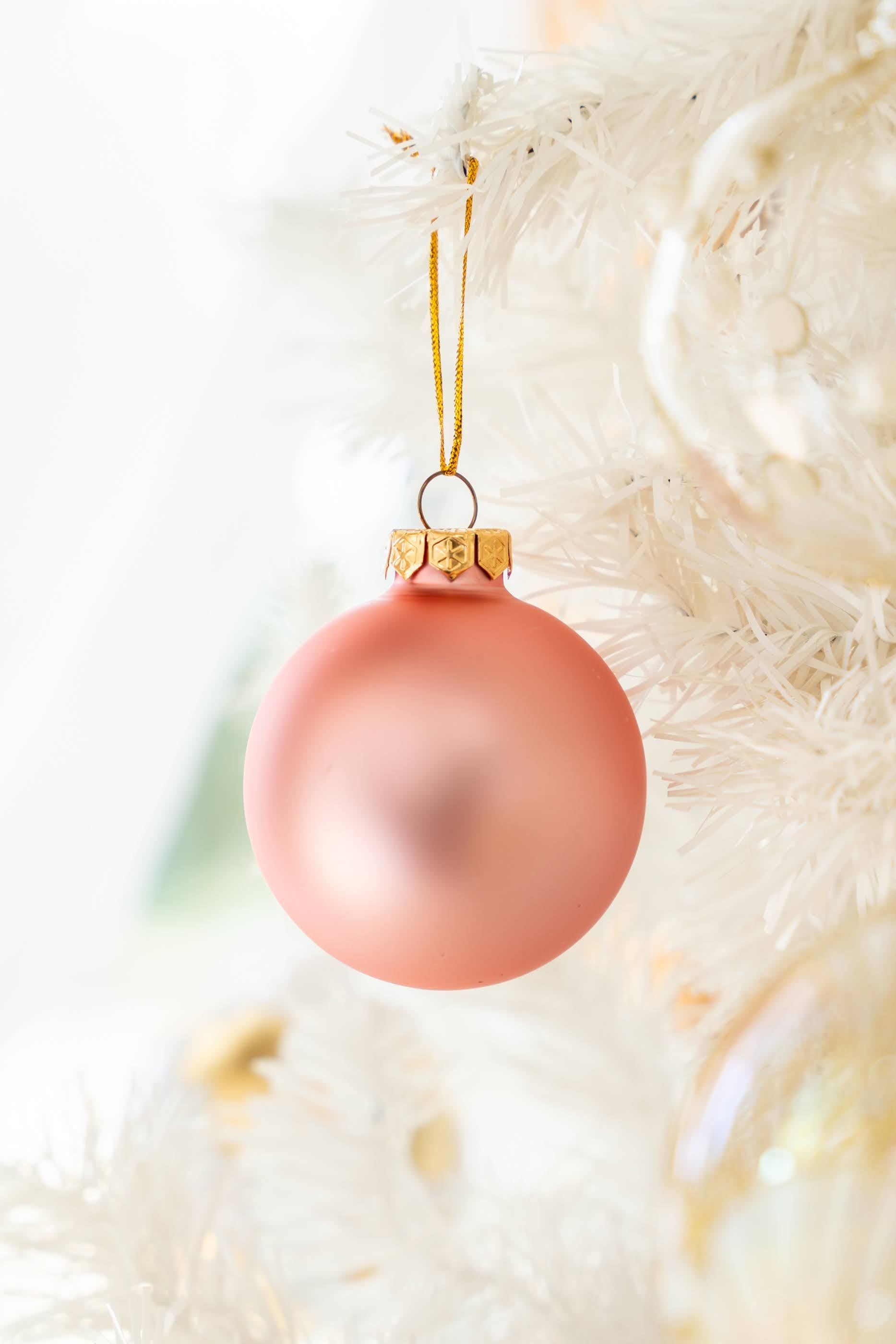 DSC00270.jpg?v=1698776743