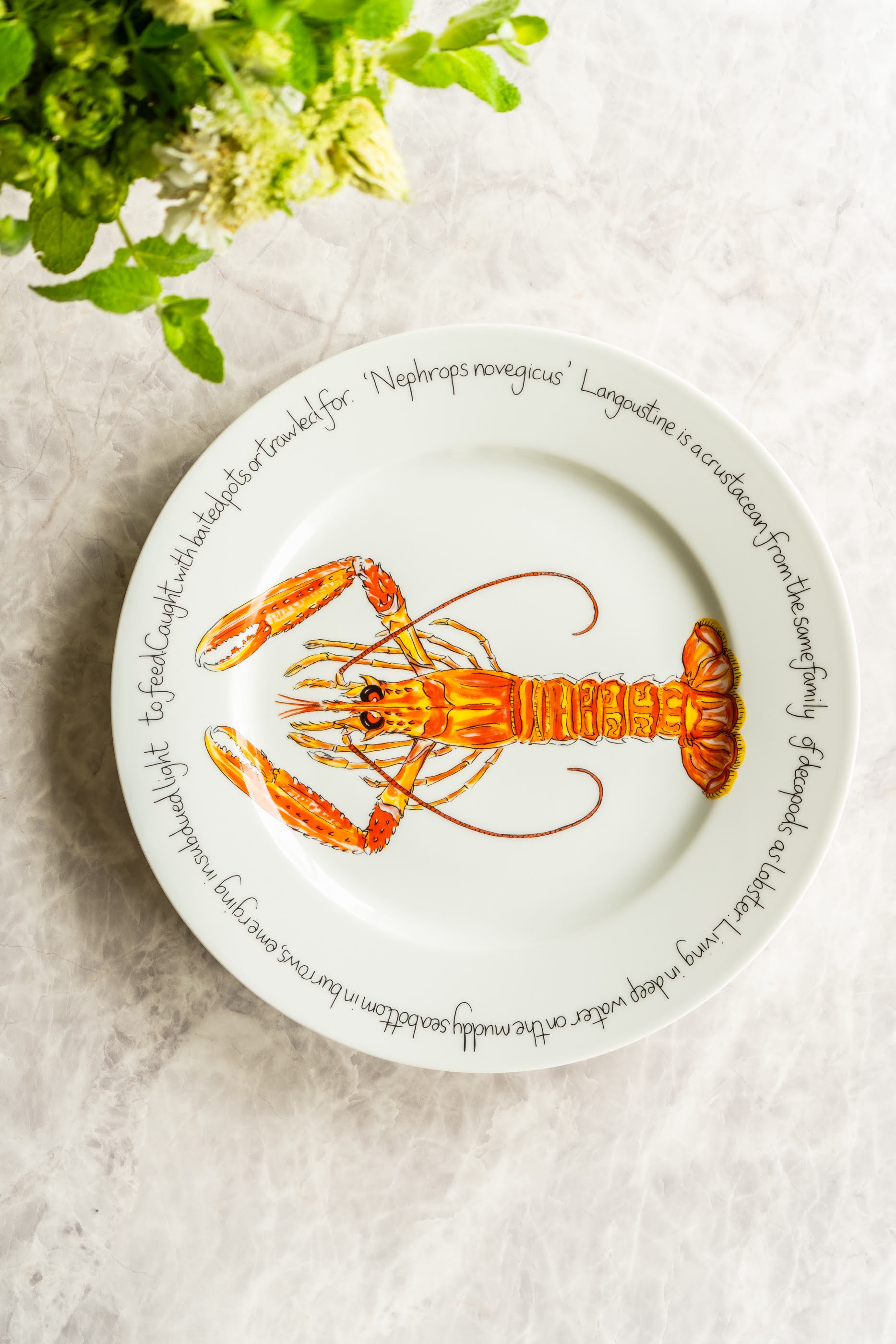 特選前菜皿 結晶なぶり 7.5皿 食器 高級食器　H1026J Tableware 陶磁器 – Blooming Home