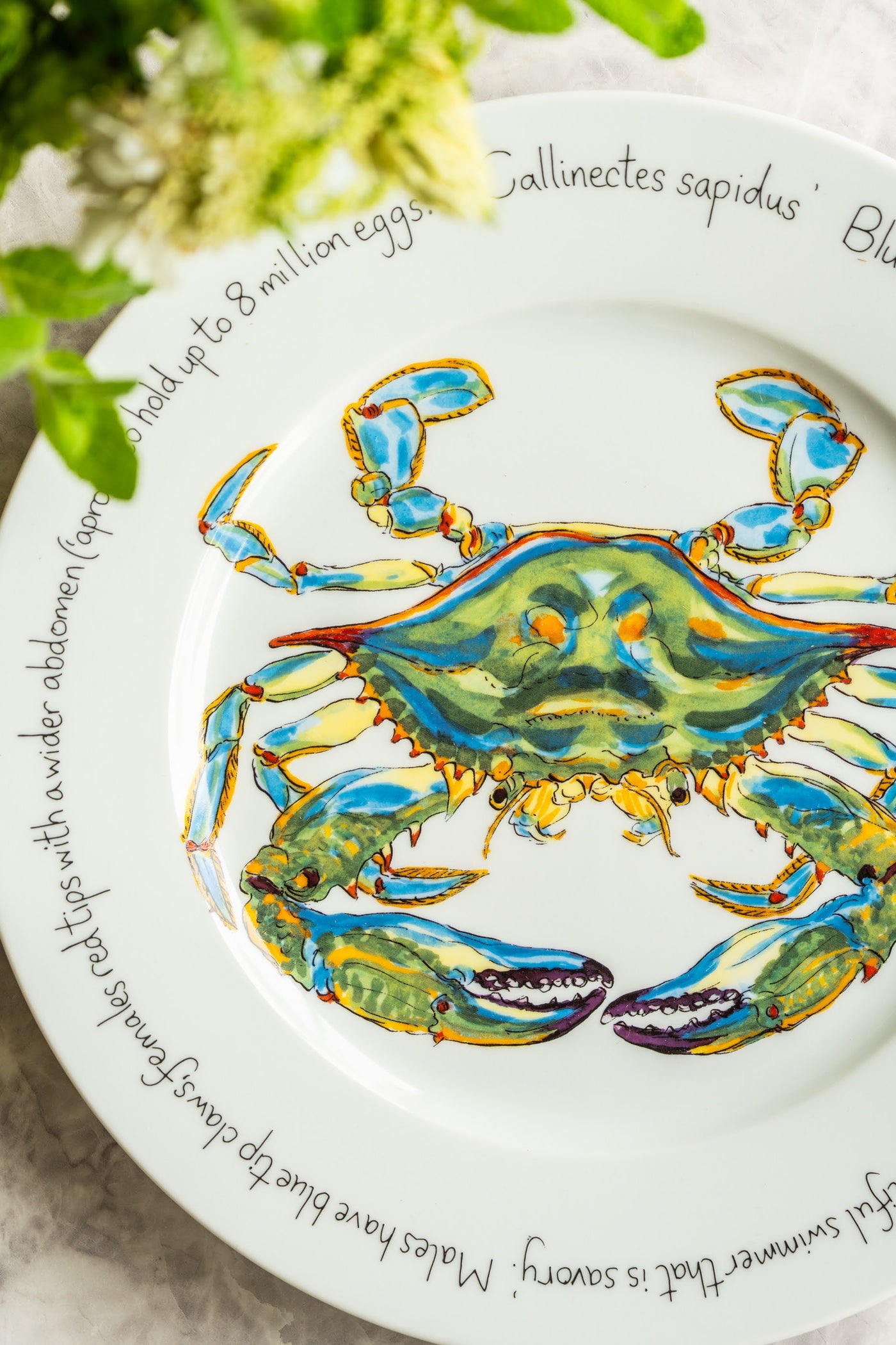 【   Richard Bramble  "Blue Crab" 30cm プレート　フラット／ディープ　】